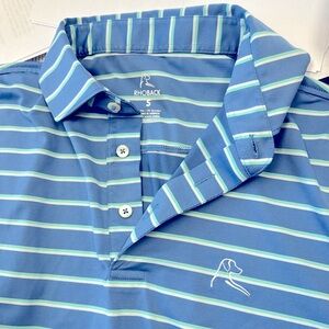 Rhoback Performance Polo - Blue with Green/white stripes, Small
